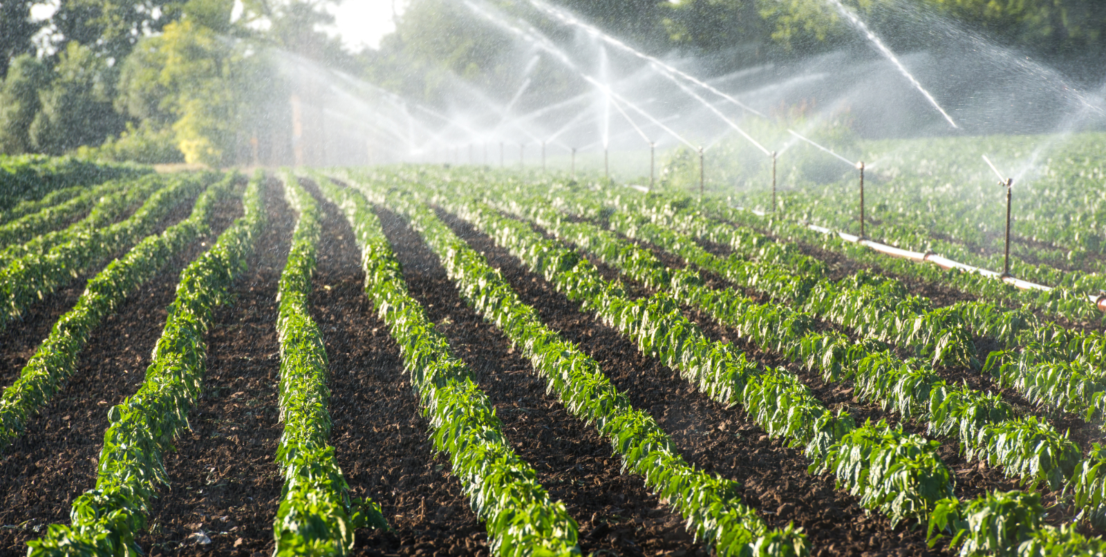 Understanding Agricultural Sprinkler Irrigation Systems - Southwest ...