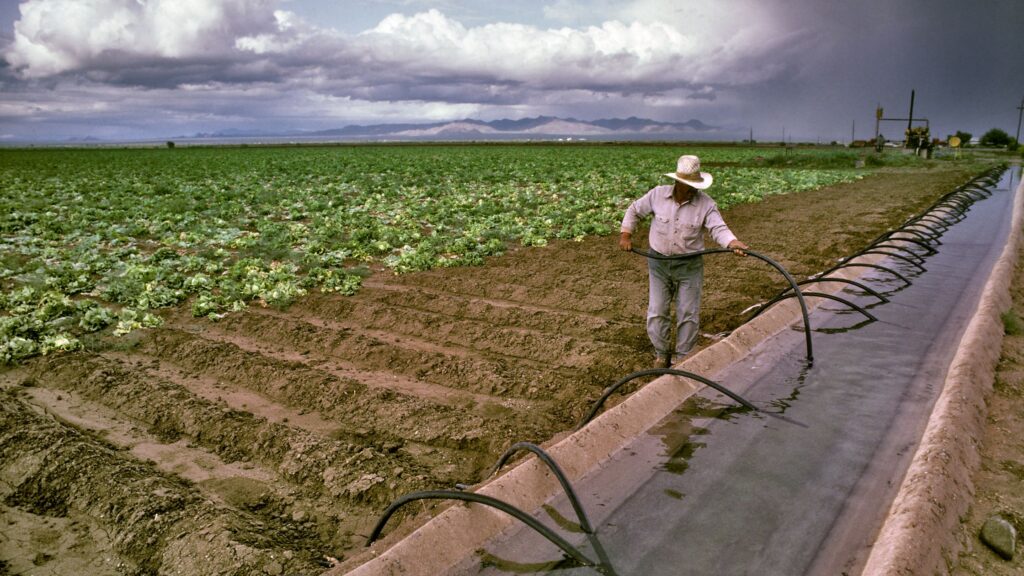 Emergency Irrigation Repairs: What You Need to Know