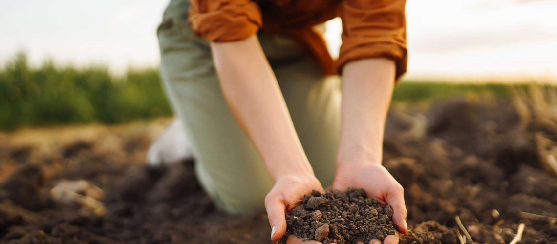 How To Improve Soil Health